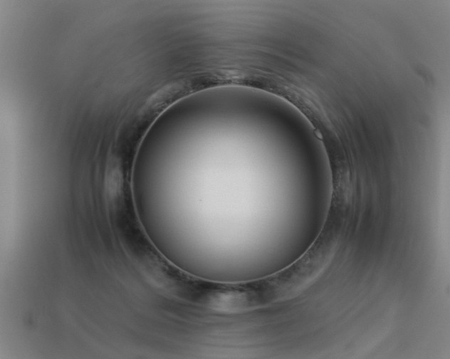 X0000113290220200909141211