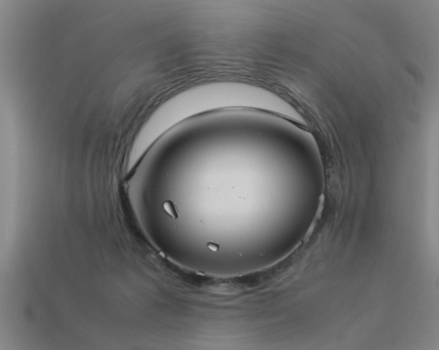 X0000113290221200909141211