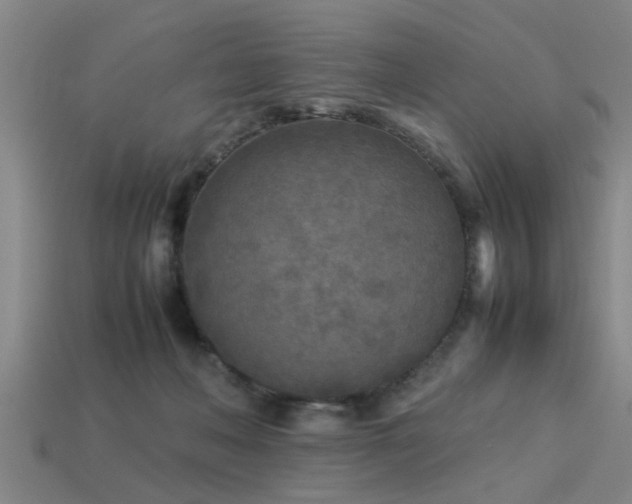 X0000113290222200909141211