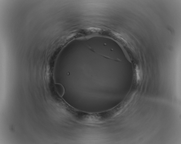 X0000113290223200909141211