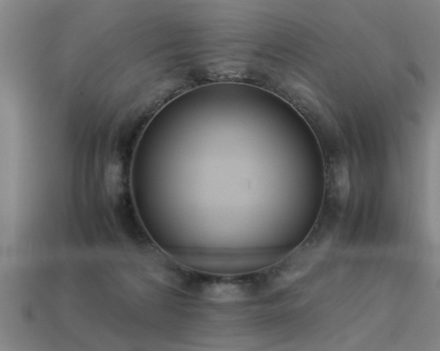 X0000113290224200909141211