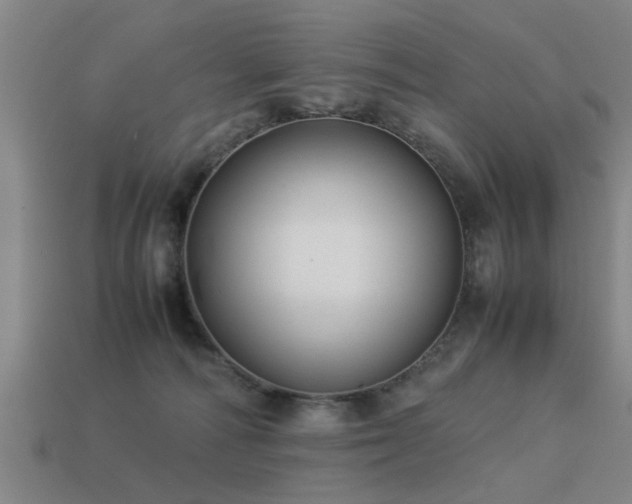 X0000113290226200909141211