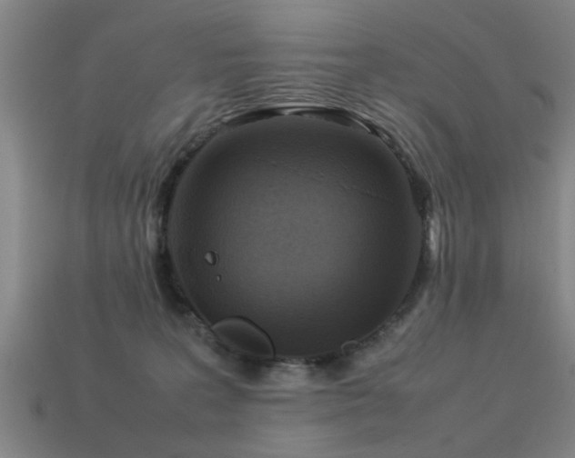 X0000113290227200909141211