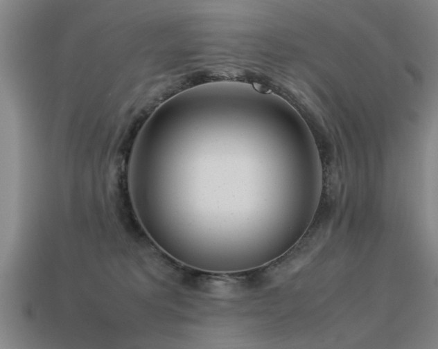 X0000113290229200909141211