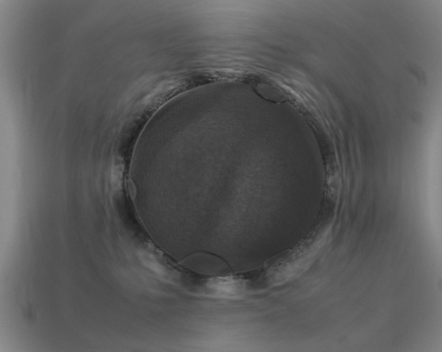 X0000113290231200909141211