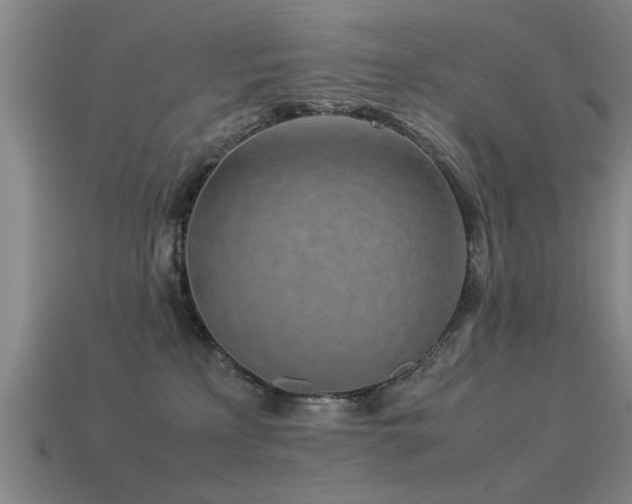 X0000113290233200909141211