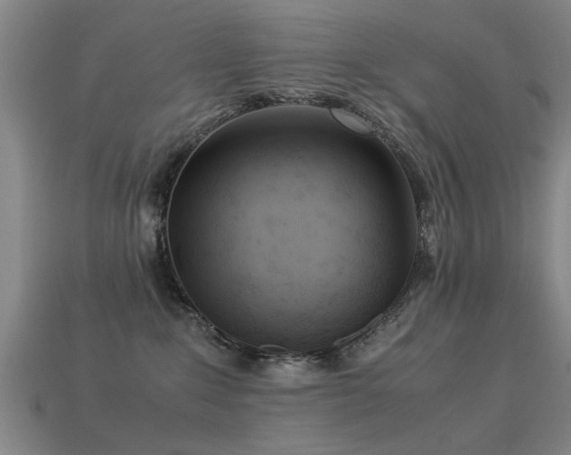 X0000113290235200909141211