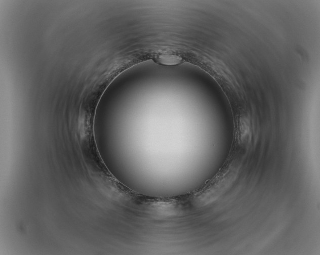 X0000113290236200909141211