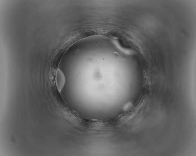 X0000113290237200909141211