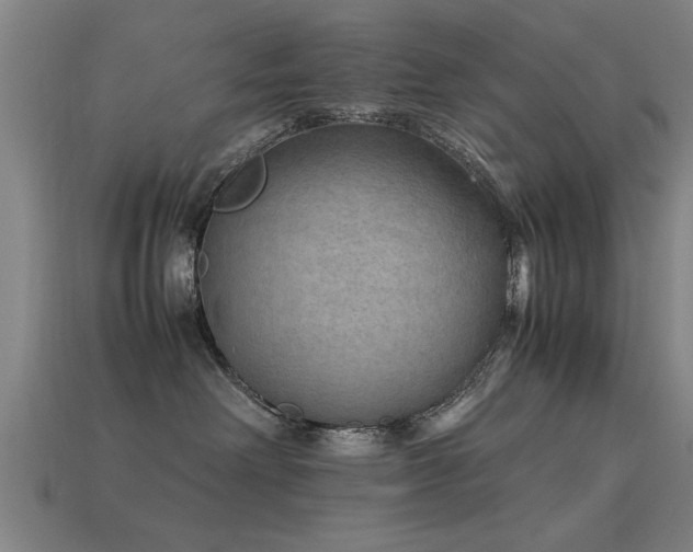 X0000113290238200909141211