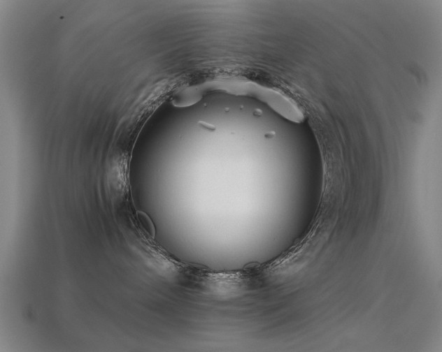 X0000113290240200909141211