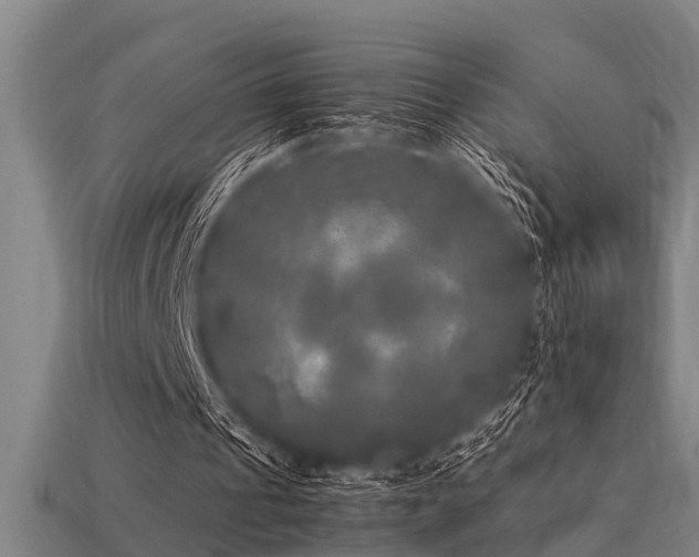 X0000113290241200909141210