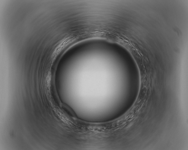 X0000113290242200909141210