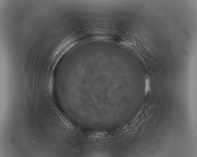 X0000113290243200909141210