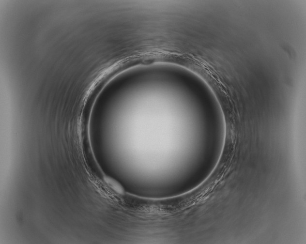 X0000113290244200909141210