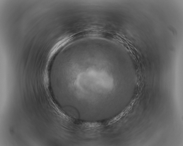 X0000113290245200909141210