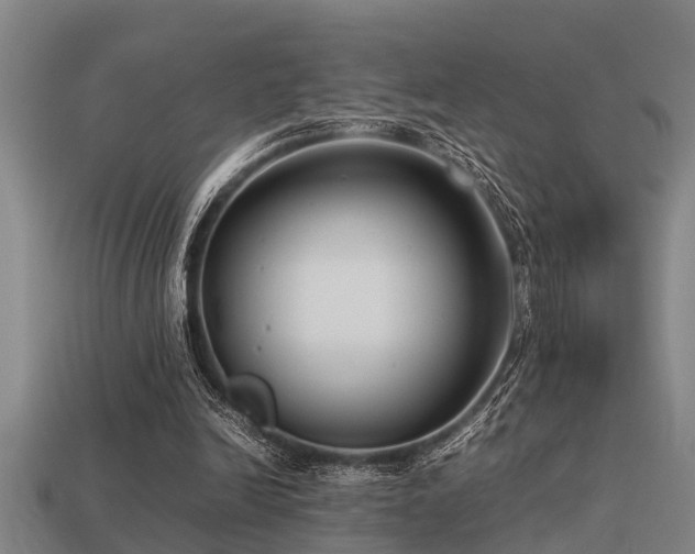 X0000113290246200909141210