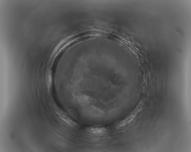 X0000113290247200909141210