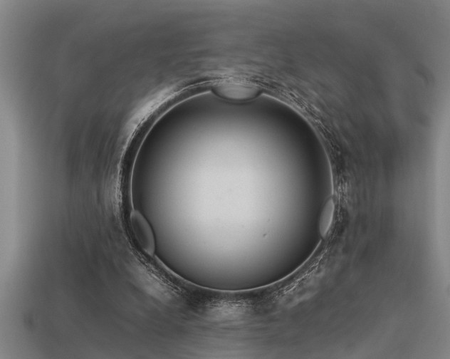 X0000113290248200909141210