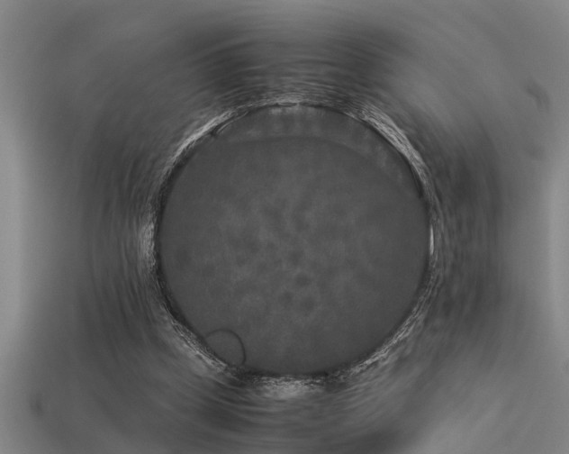 X0000113290249200909141210