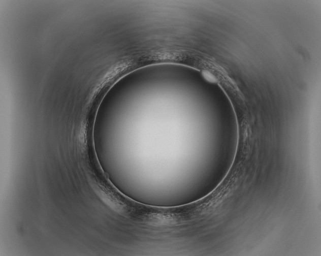 X0000113290250200909141210