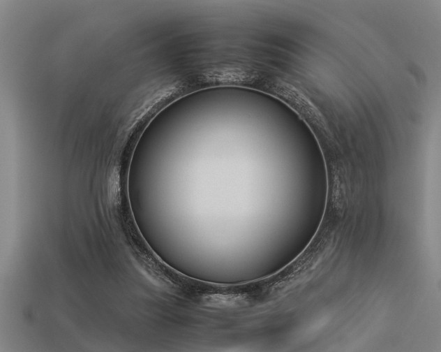 X0000113290251200909141210