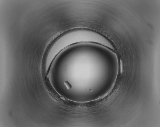 X0000113290252200909141210