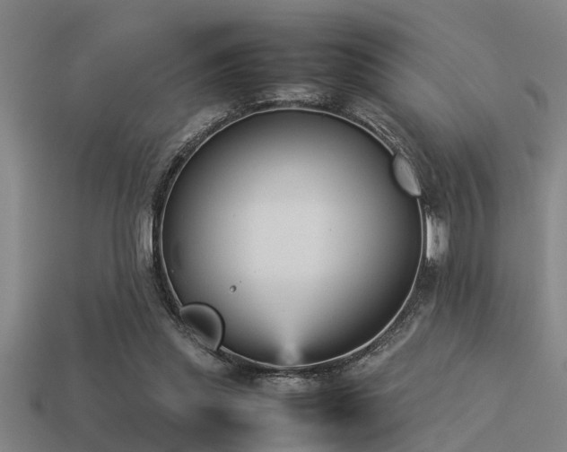 X0000113290253200909141210