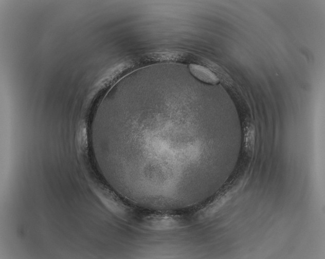 X0000113290254200909141210