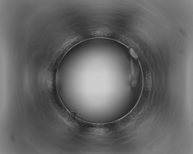 X0000113290255200909141210