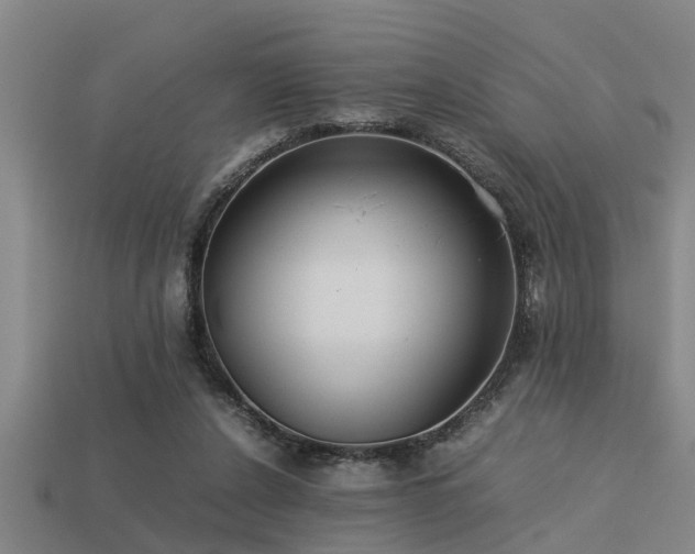 X0000113290256200909141210