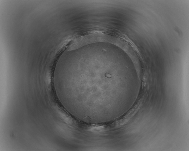 X0000113290257200909141210