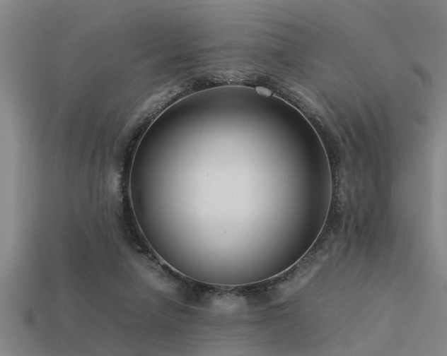 X0000113290258200909141210