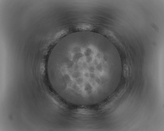 X0000113290259200909141210