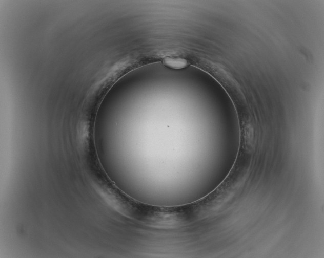 X0000113290260200909141210