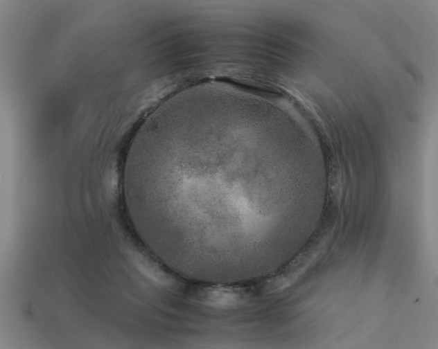 X0000113290261200909141210