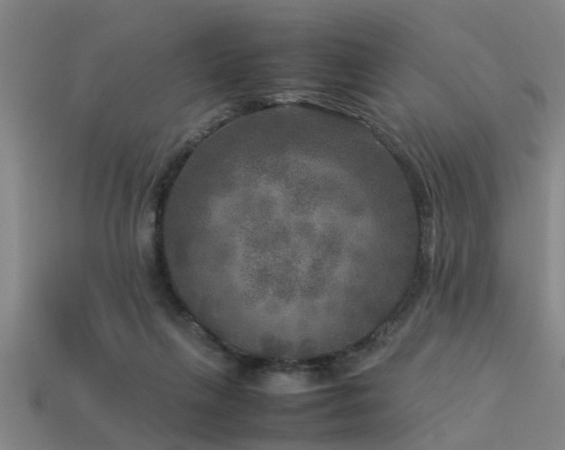 X0000113290263200909141211