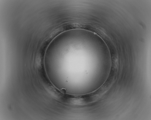 X0000113290266200909141211