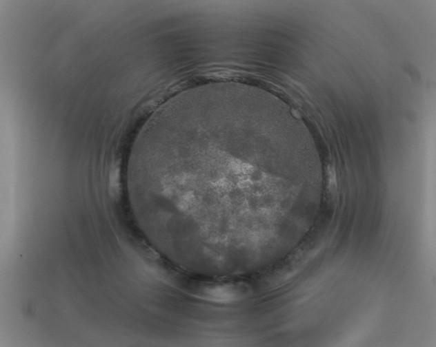 X0000113290267200909141211