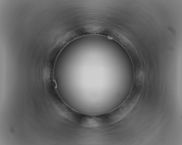 X0000113290268200909141211