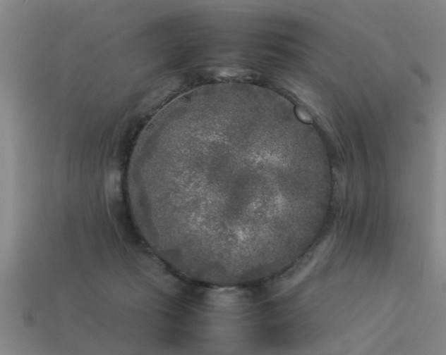 X0000113290269200909141211