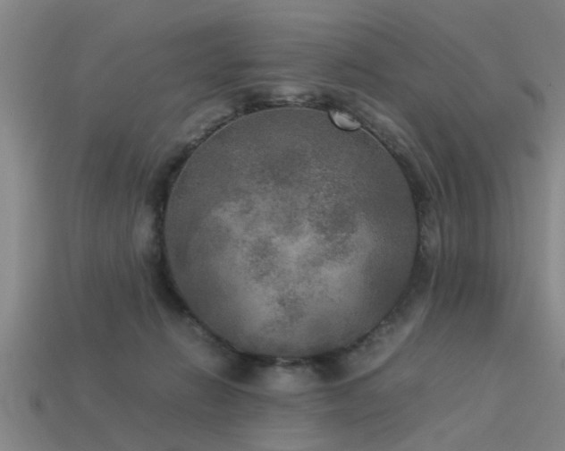 X0000113290270200909141211