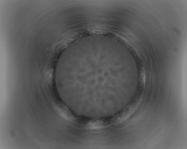 X0000113290271200909141211