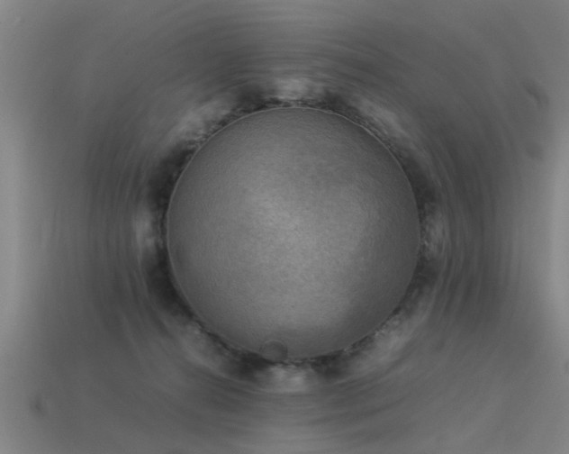 X0000113290272200909141211