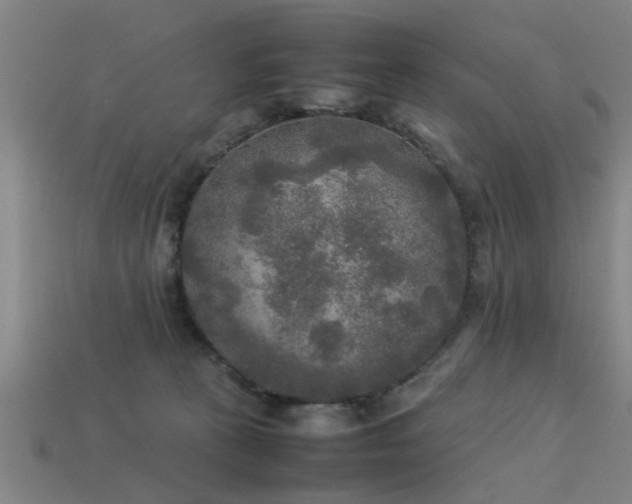 X0000113290273200909141211