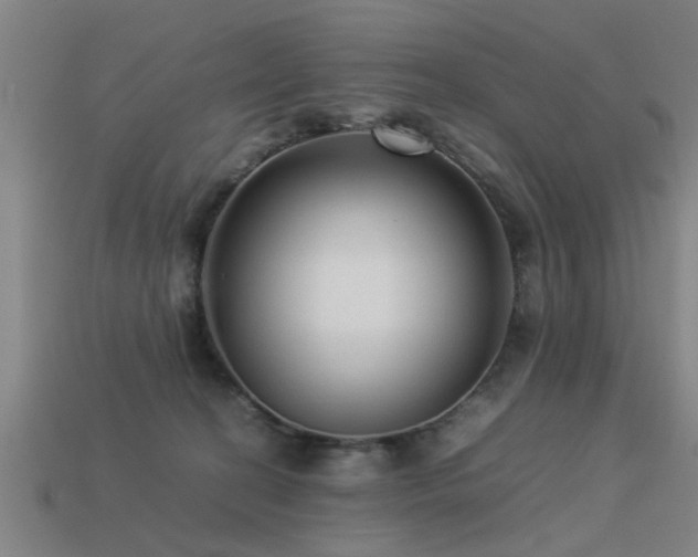 X0000113290274200909141211