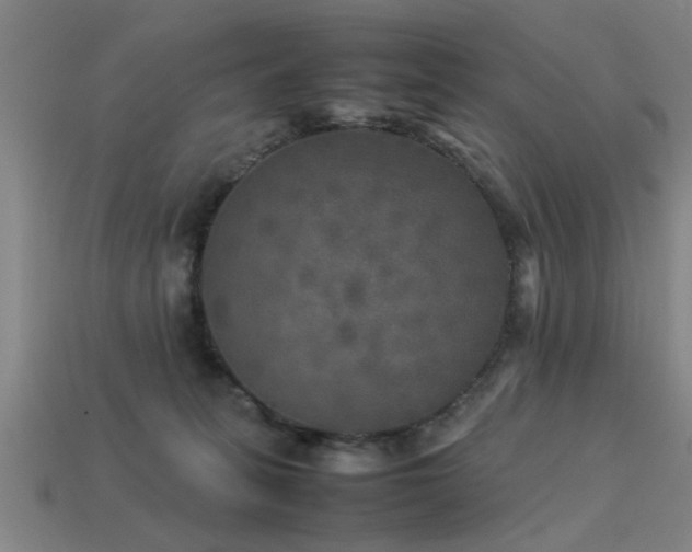 X0000113290275200909141211