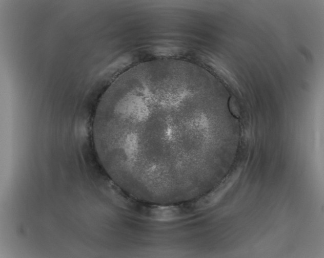 X0000113290277200909141211