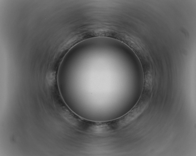 X0000113290278200909141211