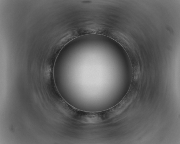 X0000113290279200909141211